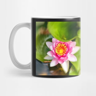 Red Waterlily Mug